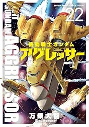 機動戦士ガンダム アグレッサー 全巻セット 19巻 OGP.jpg